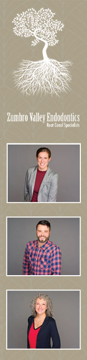 ZUMBRO VALLEY ENDODONTICS