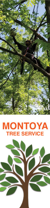 MONTOYA TREE SERVICE