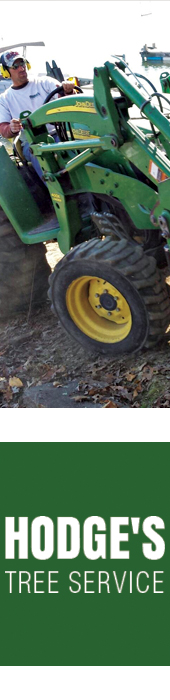 HODGE'S TREE SERVICE
