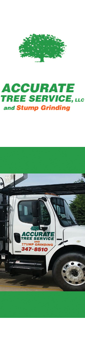 ACCURATE TREE SERVICE & STUMP GRINDING