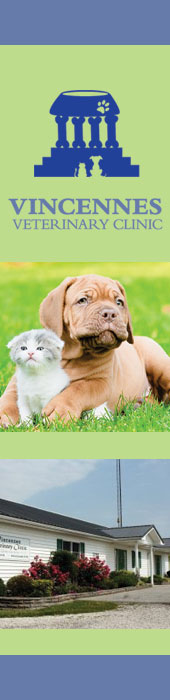 VINCENNES VETERINARY CLINIC