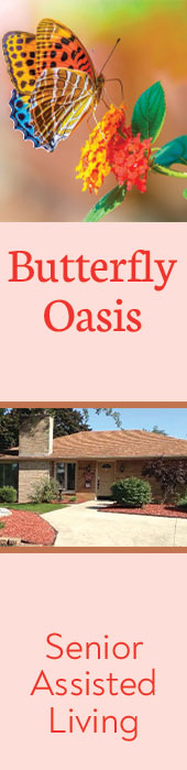 BUTTERFLY OASIS