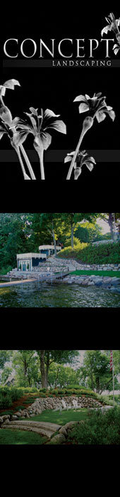 CONCEPT LANDSCAPING