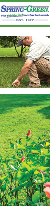 SPRING-GREEN LAWN CARE