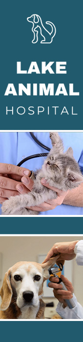 LAKE ANIMAL HOSPITAL
