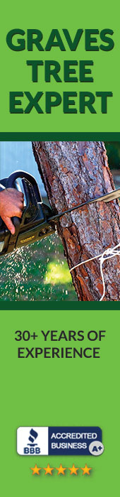 GRAVES TREE EXPERT SERVICE