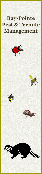 BAY POINTE PEST CONTROL
