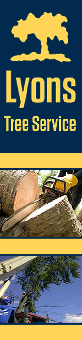 LYONS TREE SERVICE