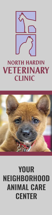 HELMWOOD VETERINARY CLINIC