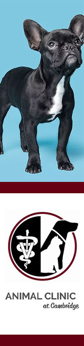 ANIMAL CLINIC AT CAMBRIDGE