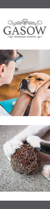 GASOW VETERINARY HOSPITAL