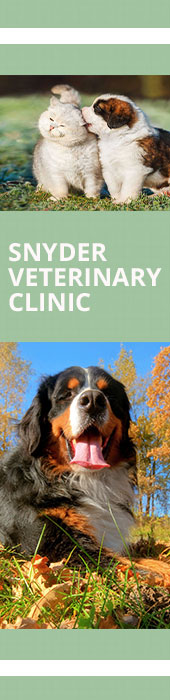 SNYDER VETERINARY CLINIC