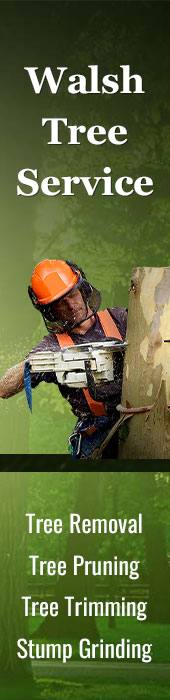 WALSH TREE SERVICE