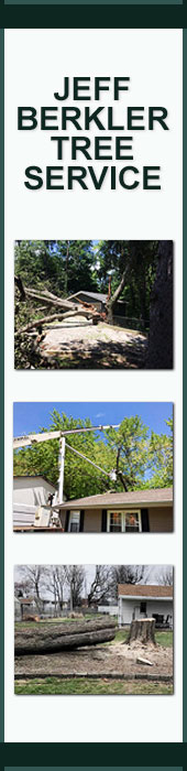 JEFF BERKLER TREE SERVICE