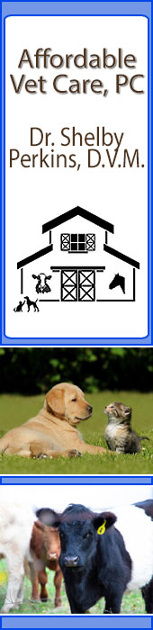 AFFORDABLE VET CARE