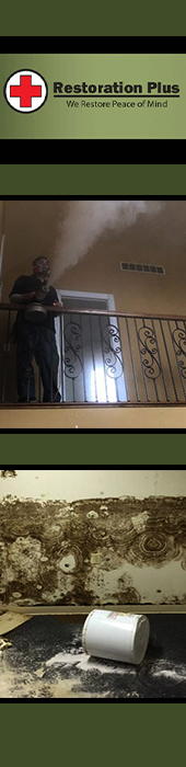 RESTORATION PLUS