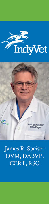 INDIANAPOLIS VETERINARY - INDYVET