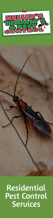 KELLEY'S TERMITE & PEST CONTROL