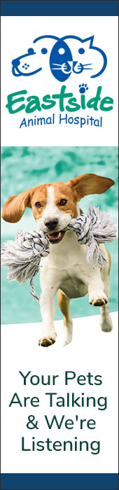 EASTSIDE ANIMAL HOSPITAL