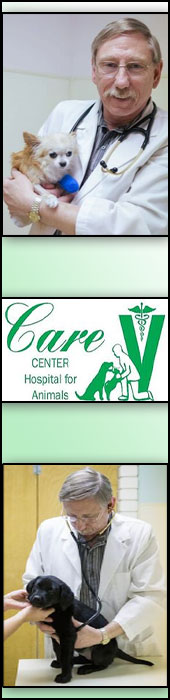 CARE CENTER HOSPITAL FOR ANIMALS