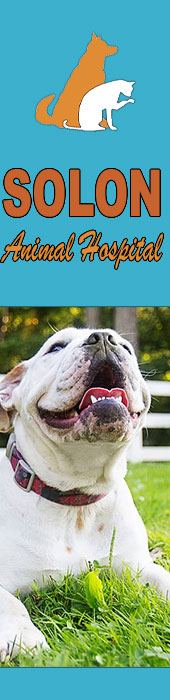 SOLON ANIMAL HOSPITAL
