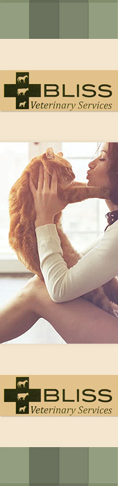 BLISS VETERINARY SERVICES