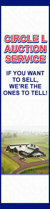 CIRCLE L AUCTION SERVICE