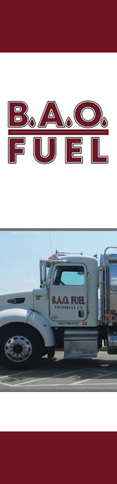 BAO FUEL, LLC