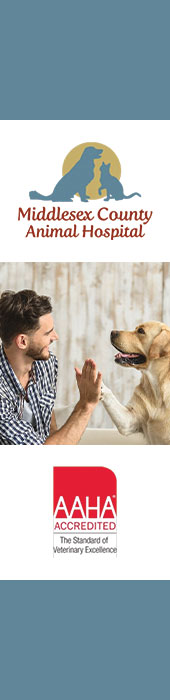 MIDDLESEX COUNTY ANIMAL HOSPITAL