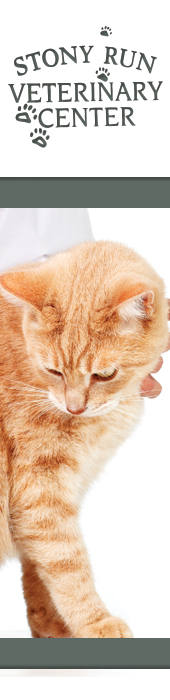 STONY RUN VETERINARY CENTER