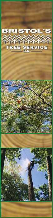 BRISTOL'S TREE & LAWN SERVICE