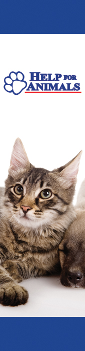 HELP FOR ANIMALS