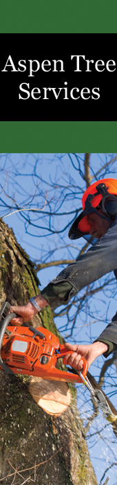 ASPEN TREE SERVICES