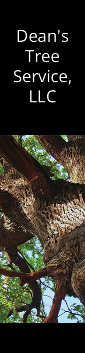 DEAN'S TREE SERVICE, LLC