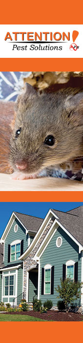 ATTENTION PEST SOLUTIONS LLC