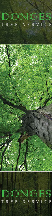 DONGES TREE SERVICE INC