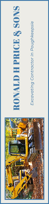 RONALD H. PRICE & SONS INC