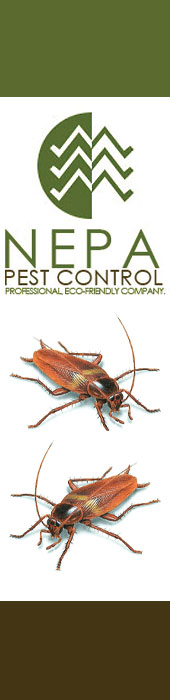 NEPA PEST CONTROL