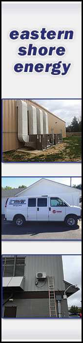 EASTERN SHORE ENERGY INC