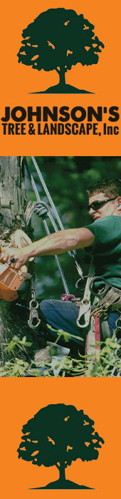 JOHNSON TREE REMOVAL