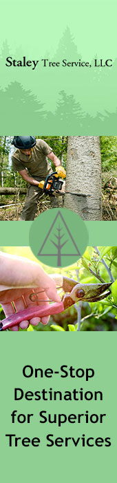 STALEY TREE SERVICE LLC