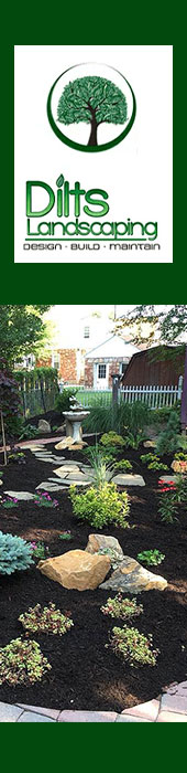 DILTS LANDSCAPING & LAWNCARE