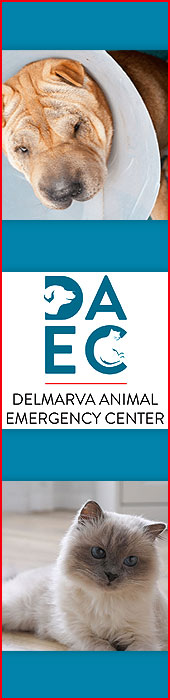 DELMARVA ANIMAL EMERGENCY CENTER