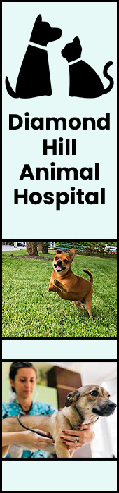 DIAMOND HILL ANIMAL HOSPITAL