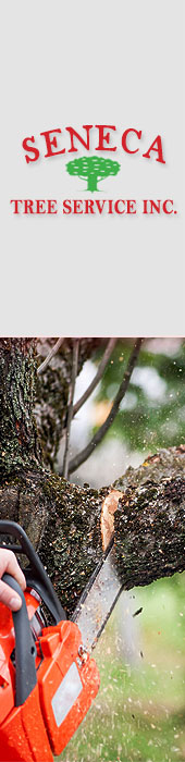 SENECA TREE SERVICE