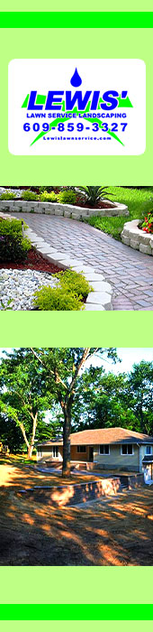 LEWIS' LAWN & TREE SERVICE LLC