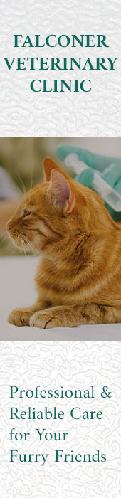 FALCONER VETERINARY CLINIC