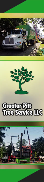 GREATER PITTSBURGH TREE SERVICE