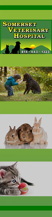 SOMERSET VETERINARY HOSPITAL