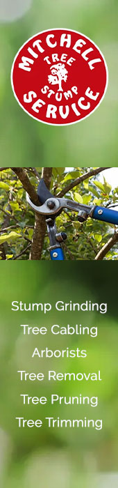 MITCHELL TREE & STUMP SERVICE